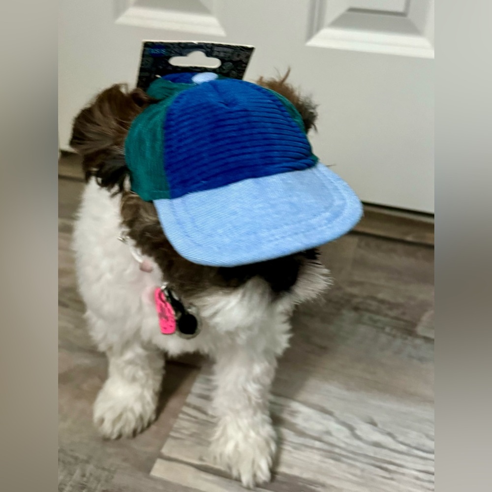 Blue Ribbed Dog Pet Base Ball Cap Hat Size XS-S. NWT.